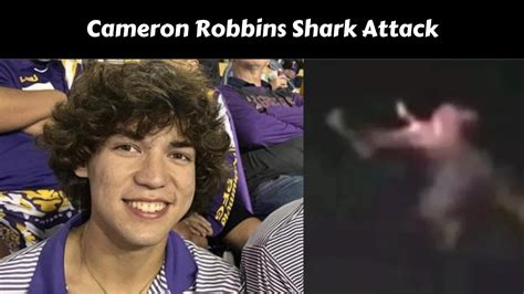 robbins shark attack|was cameron robbins ever found.